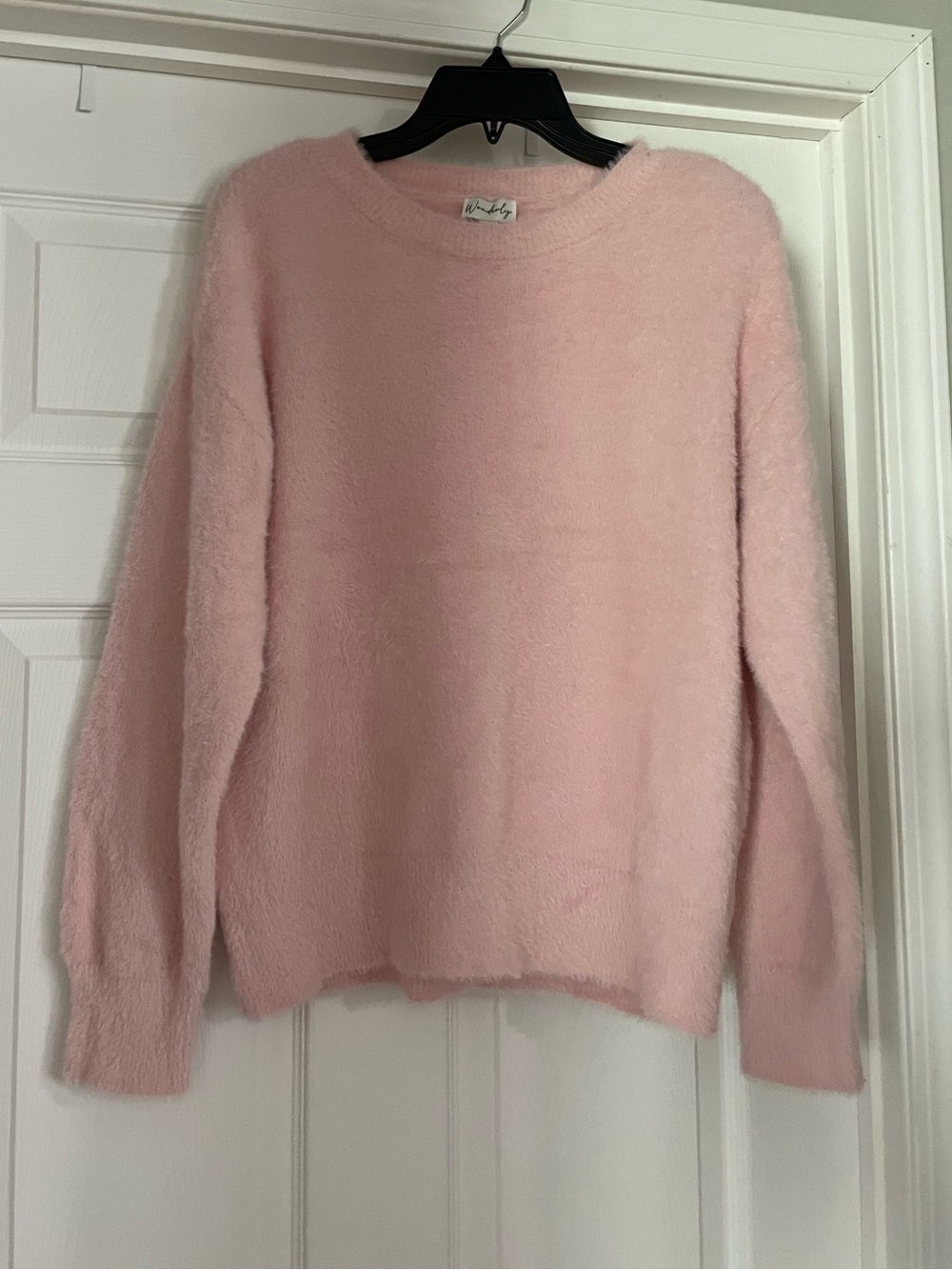 Wonderly Blush Pink Plush Crewneck Sweater